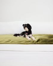 Velvet Sofa Topper - Olive