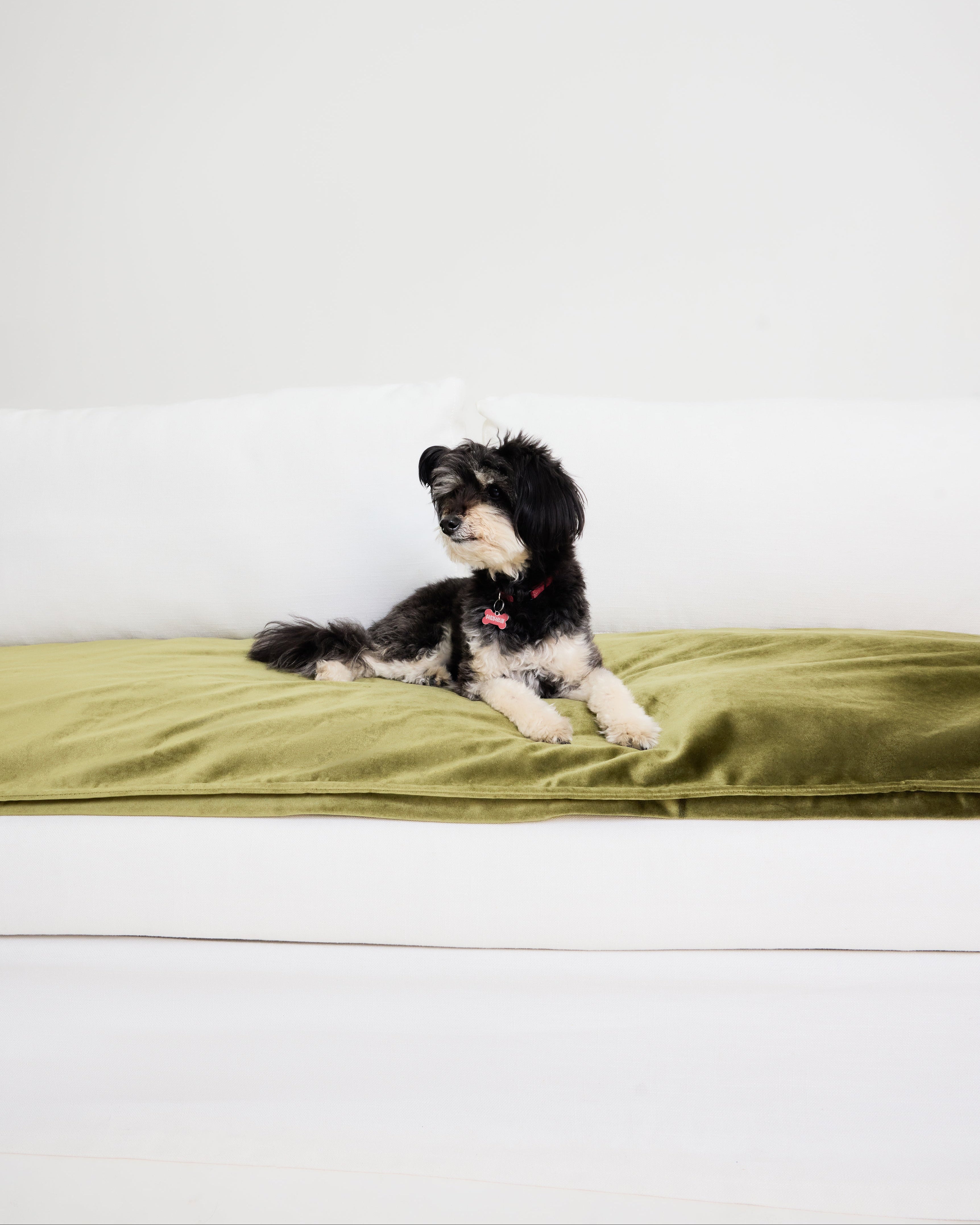 Velvet Sofa Topper - Olive