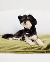 Velvet Sofa Topper - Olive