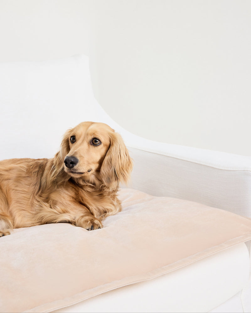 Velvet Sofa Topper - Dune