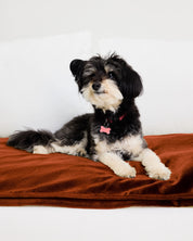 Velvet Sofa Topper - Ochre