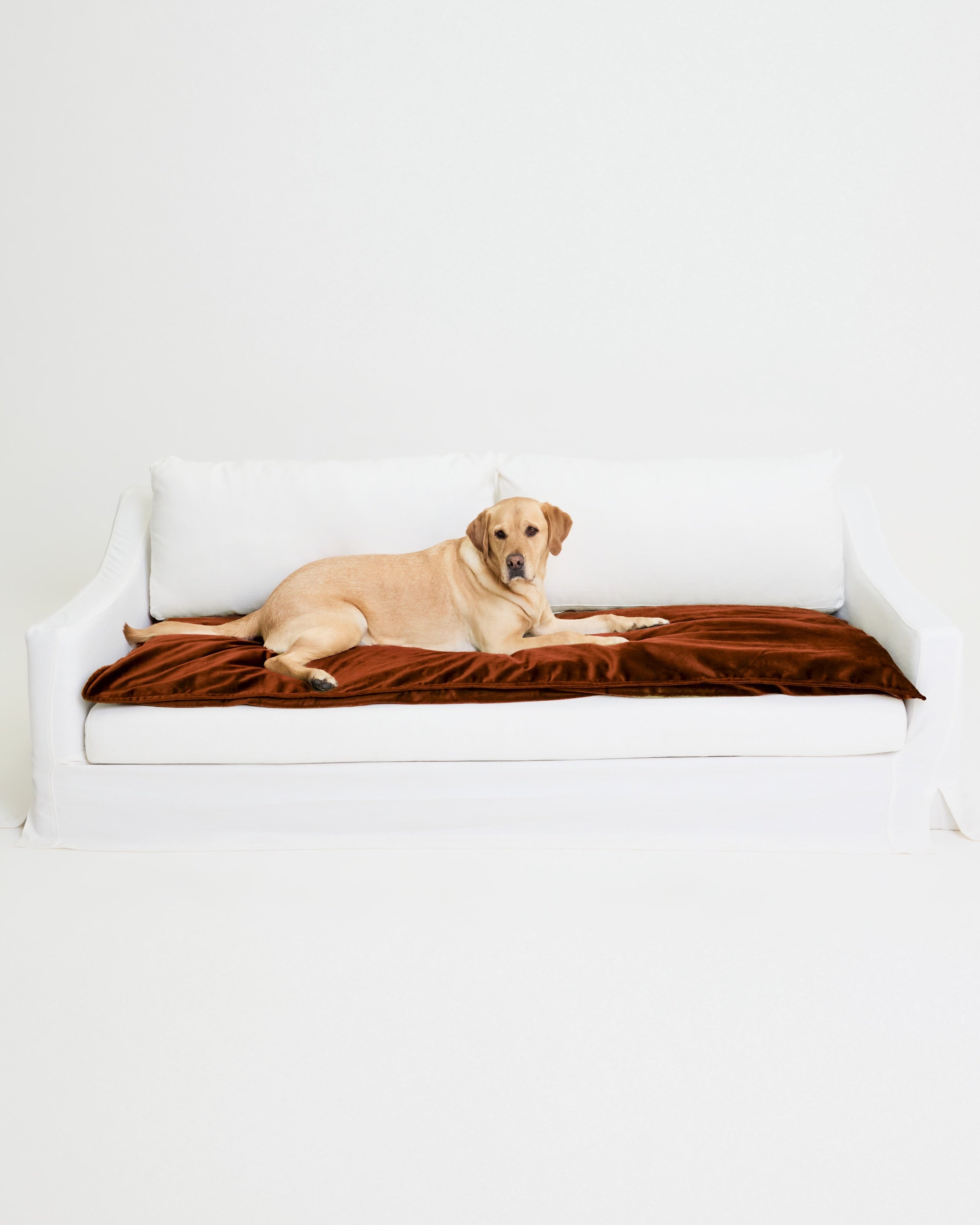 Velvet Sofa Topper - Ochre