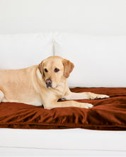 Velvet Sofa Topper - Ochre