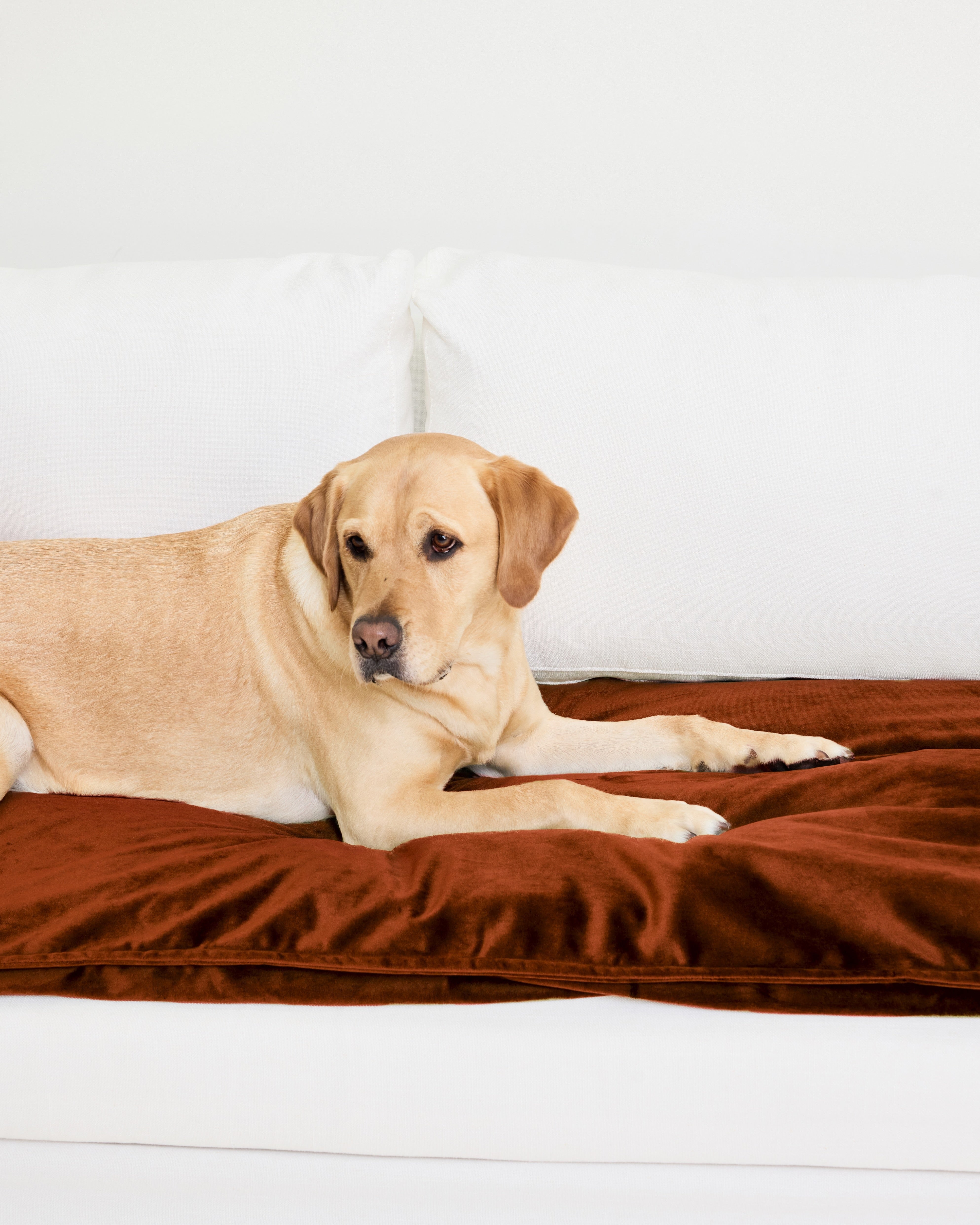 Velvet Sofa Topper - Ochre