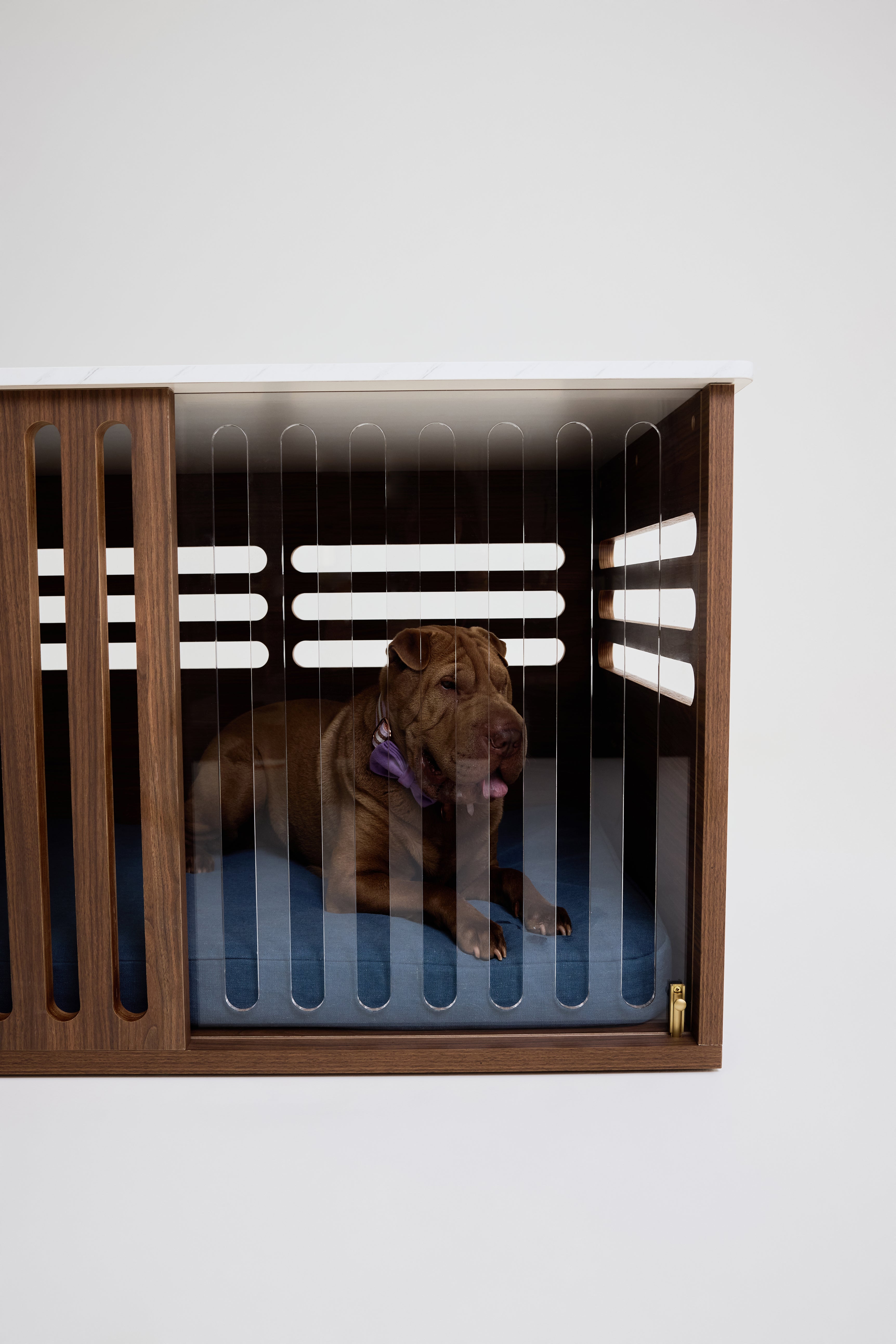 Versatile Transparent Door System