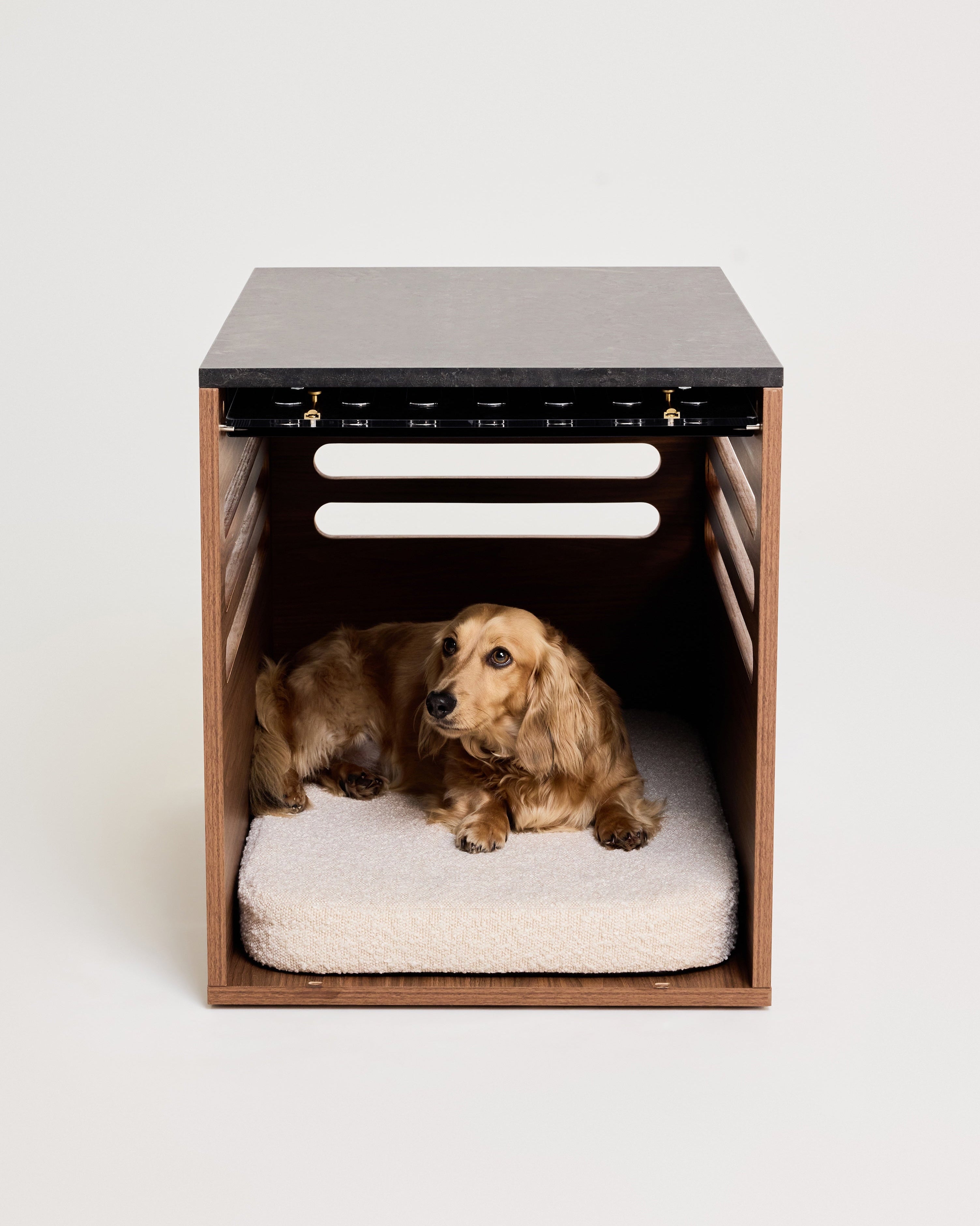 Dog lying on a cushion inside a wooden pet bed with a white background