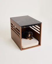 Dog lying on a cushion inside a wooden crate with a marble top on a white background