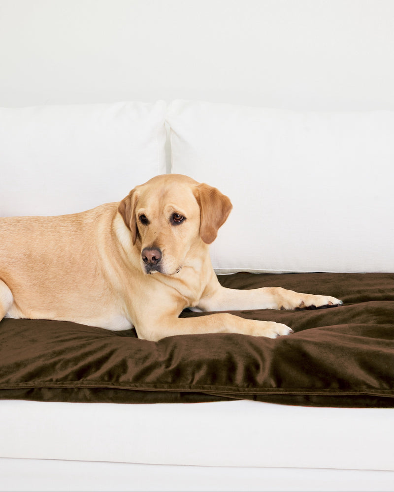 Velvet Sofa Topper - Espresso