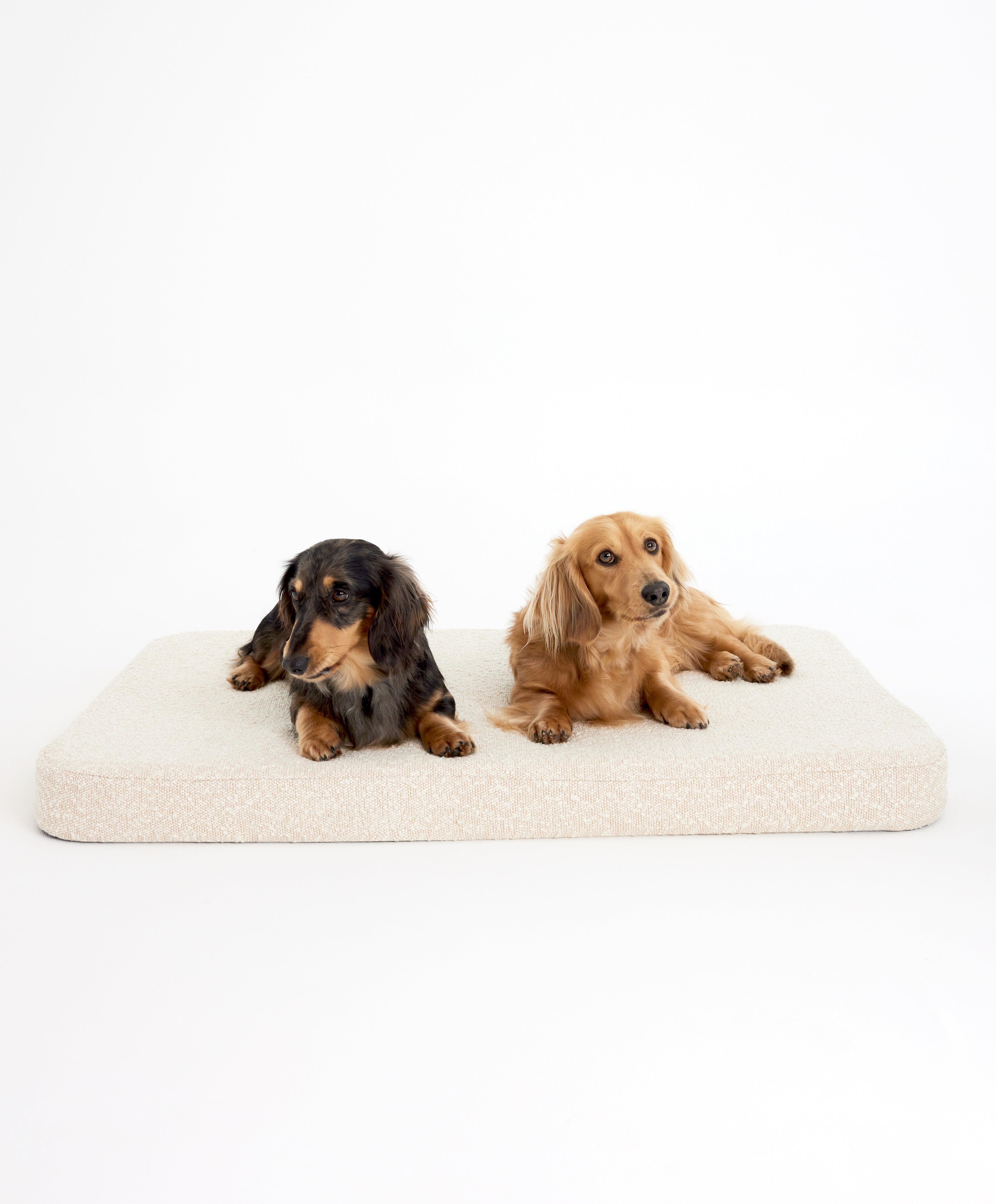 KOOZI-STUDIO-158_2_1e99f8dc-935f-454d-b190-7c80b83b073c.jpg