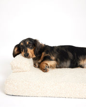 Cloud Dog Bed - Buttercream Boucle