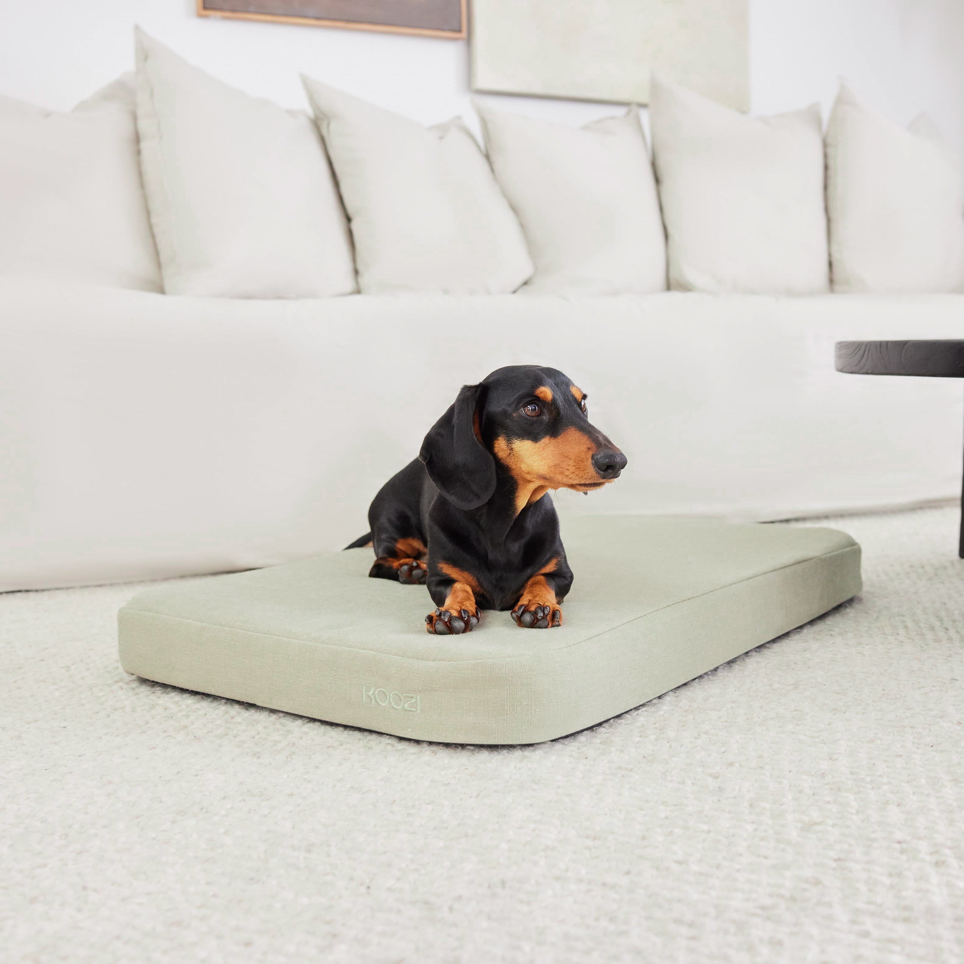 Light khaki linen cover plush flat dog bed