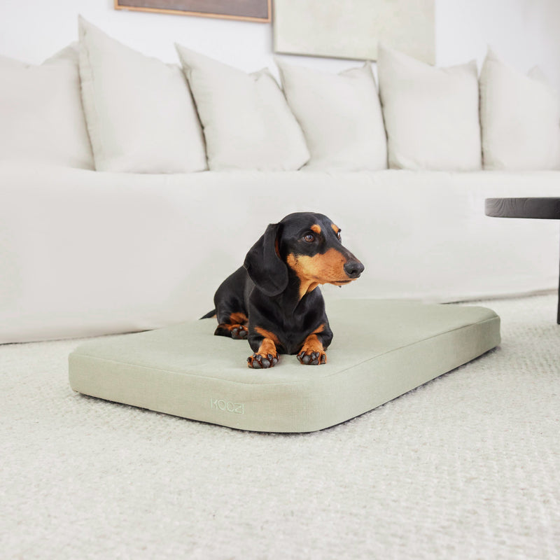 Light khaki linen cover plush flat dog bed