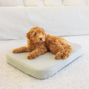 Flat Dog Bed - Khaki Linen