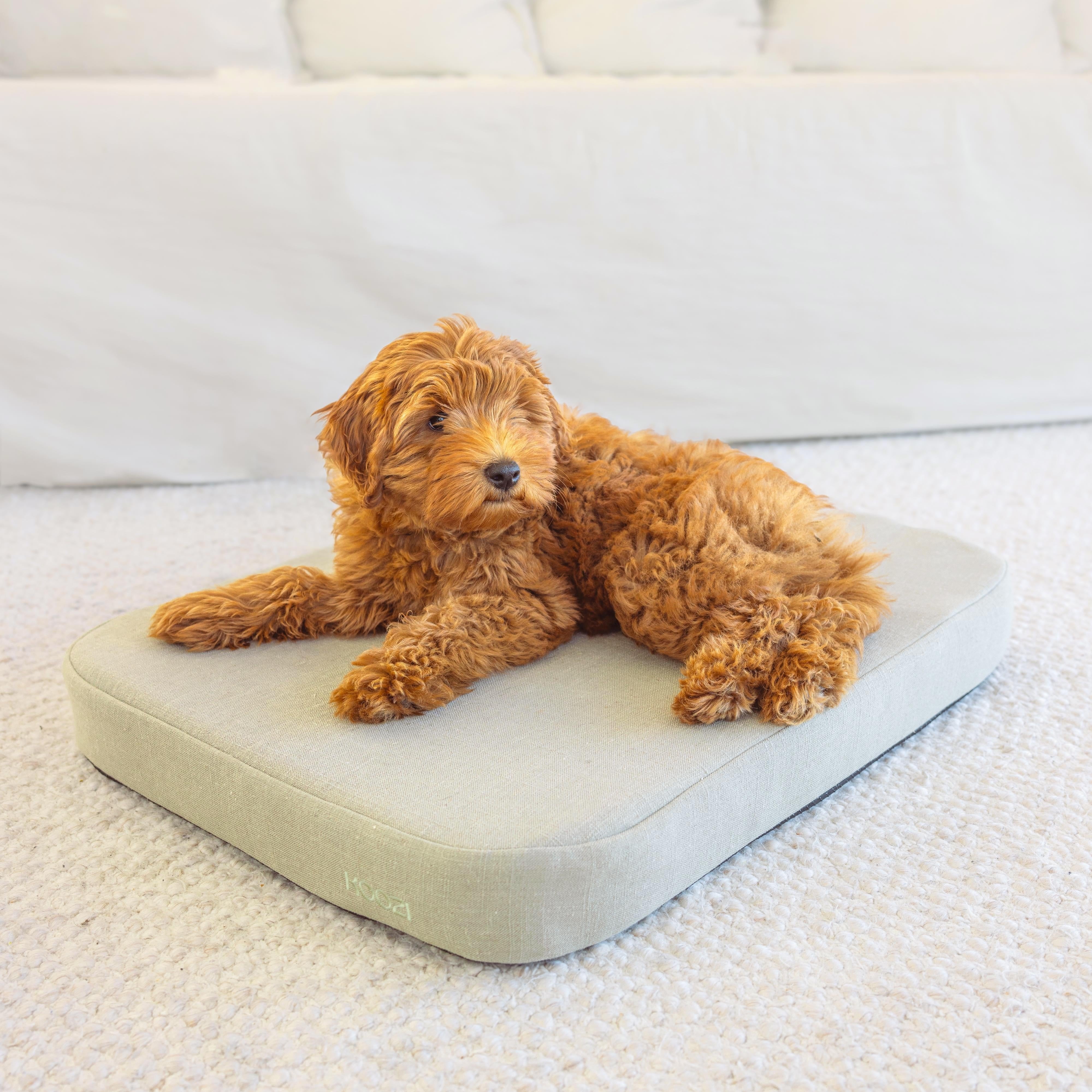 Flat Dog Bed - Khaki Linen