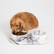 Marble Pet Bowl and Tray Set Koozi, natural marble, lilac, New York marble