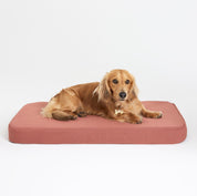 Red Clay Linen Plush Flat Dog Bed by Koozi Pets | Luxury Designer Bed for Small Dogs & Aesthetic Interiors | memory foam, anti-chew, also for crates