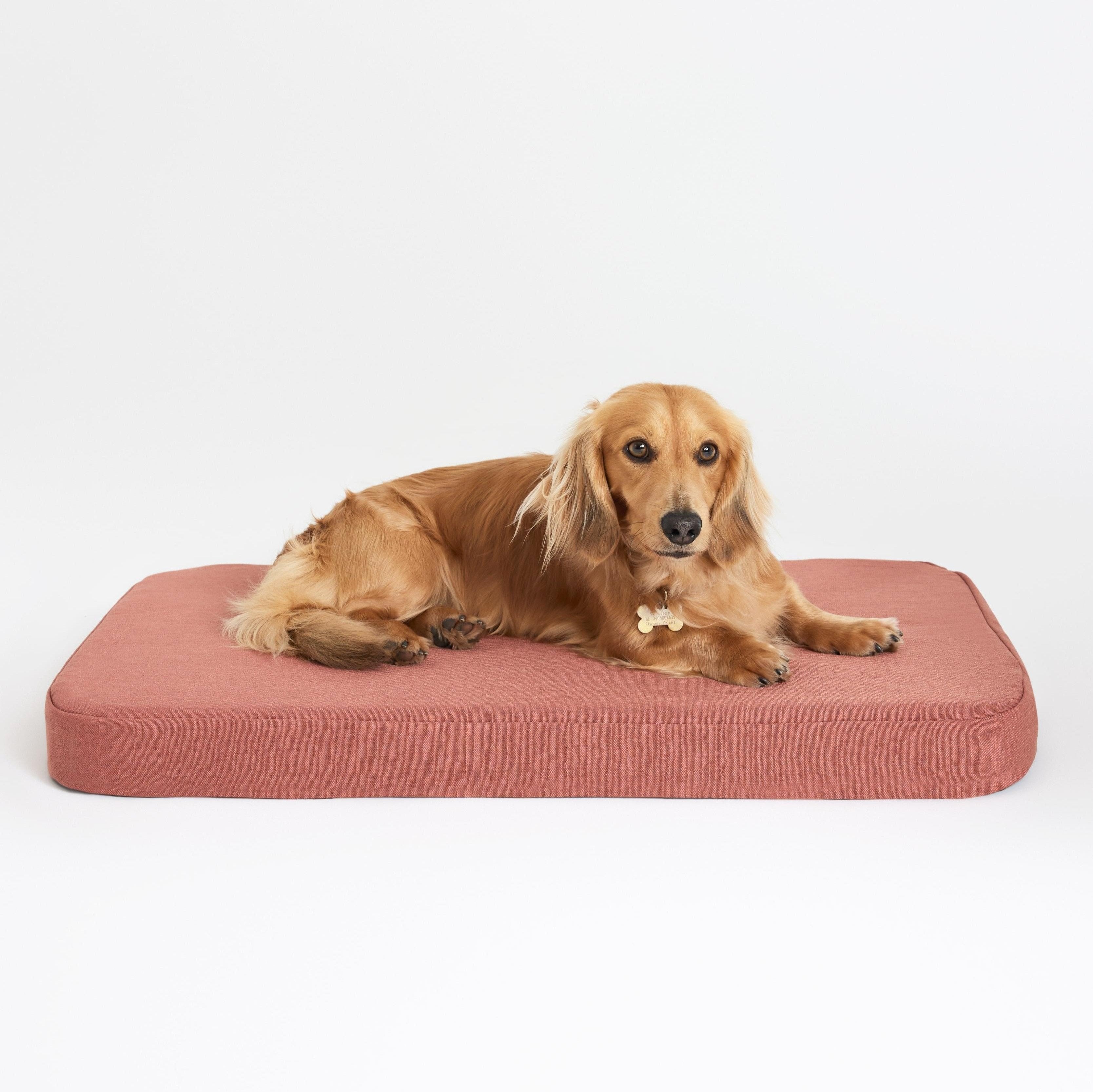 Red Clay Linen Plush Flat Dog Bed by Koozi Pets | Luxury Designer Bed for Small Dogs & Aesthetic Interiors | memory foam, anti-chew, also for crates