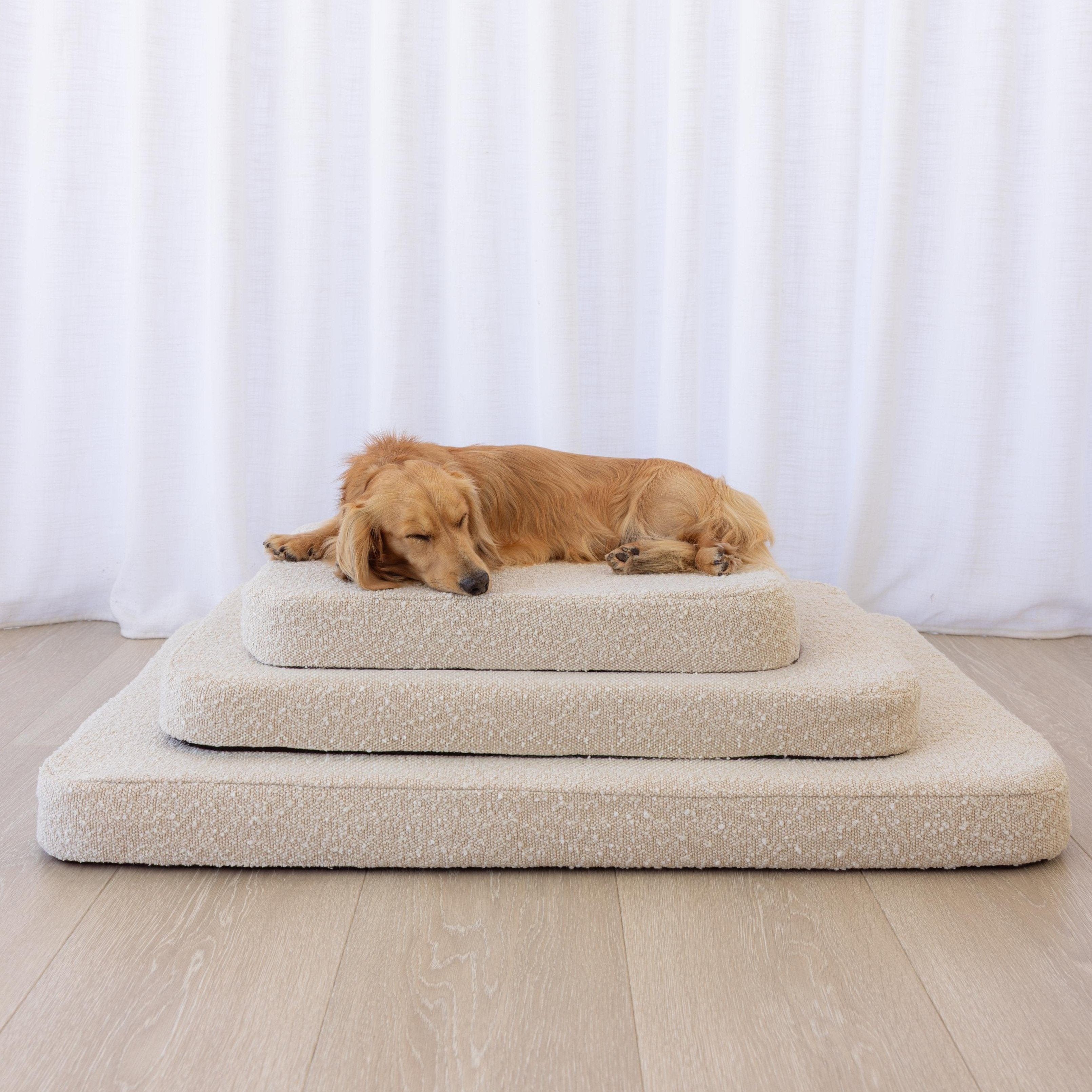 Plush bed boucle buttercream koozi dog bed designer bed small dog bed