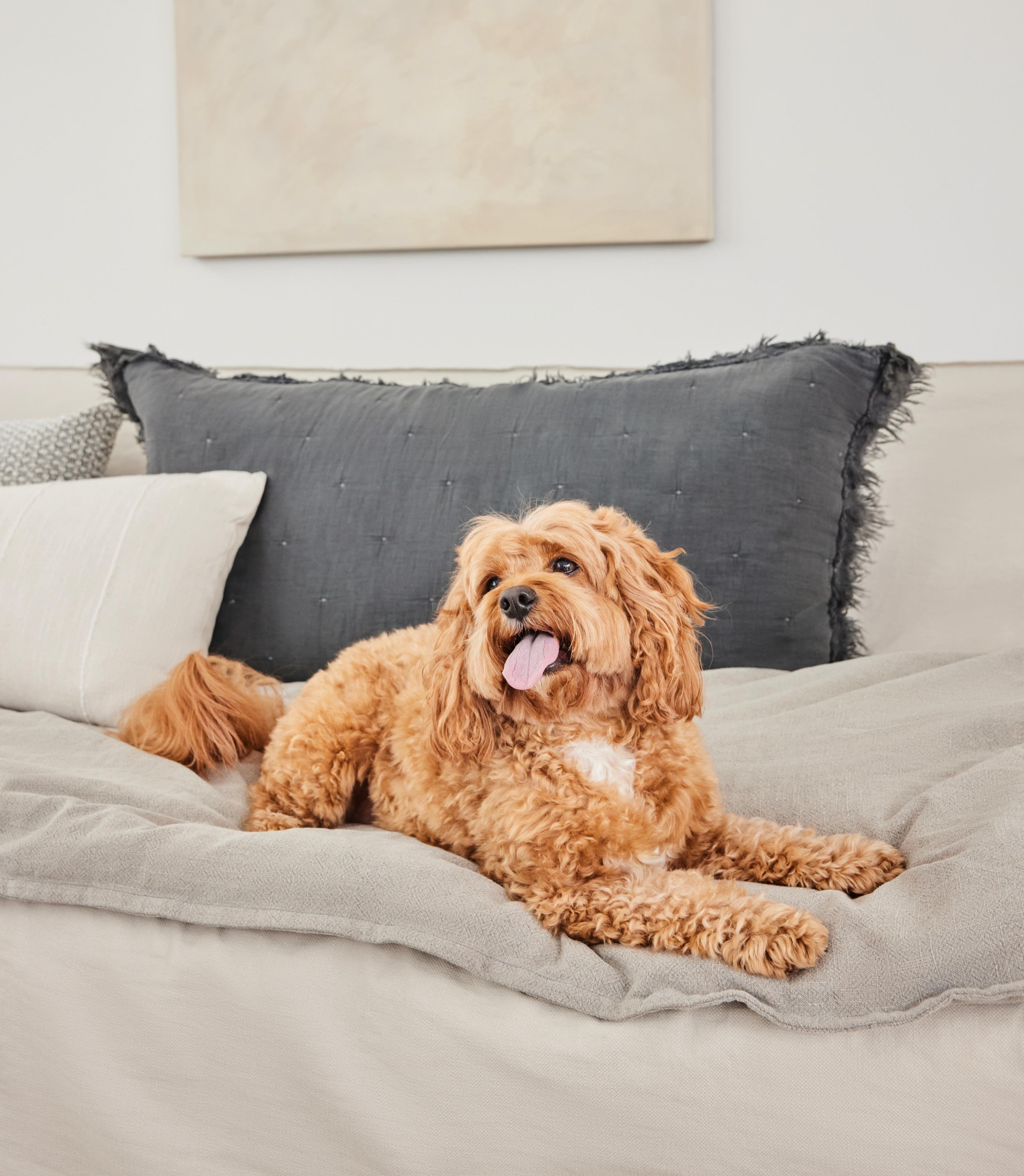 Stylish Waterproof Sofa Topper by Koozi Pets | Luxury Cotton-Linen Couch Protector for Stylish Dog-Friendly Interiors | protect sofas from pet hair, dirt 