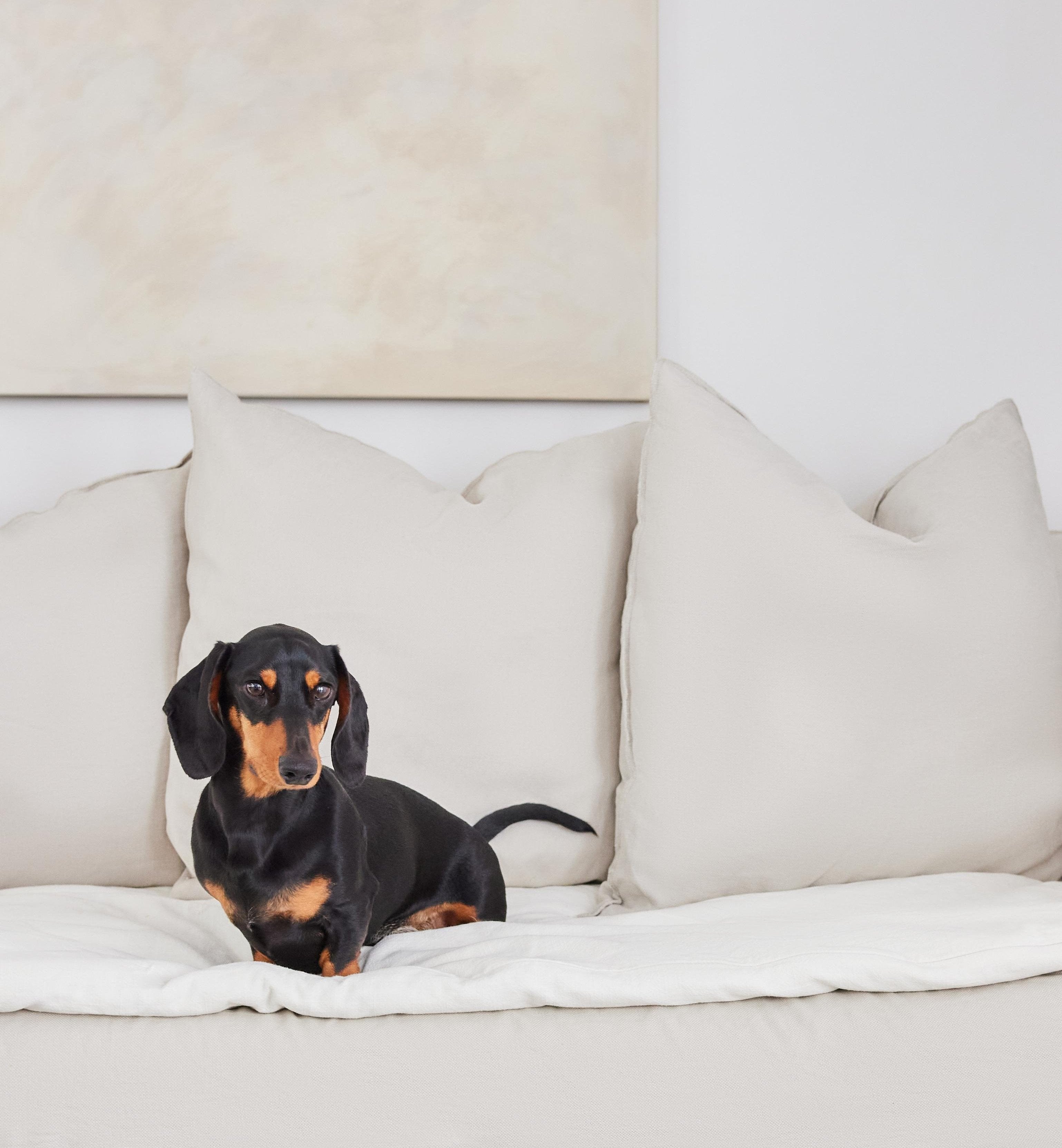 Stylish Waterproof Sofa Topper by Koozi Pets | Luxury Cotton-Linen Couch Protector for Stylish Dog-Friendly Interiors | protect sofas from pet hair, dirt 