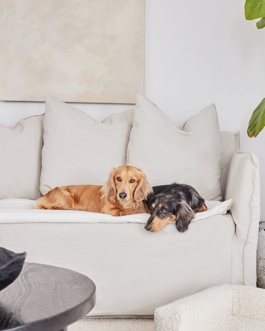 Koozi Pets Breathable cotton linen Sofa Topper - alternative to a couch cover, Pet protection from dirt, muddy paws, scratching and Pet Hair