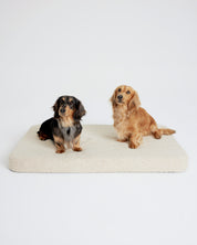 Flat Dog Bed - Buttercream Boucle