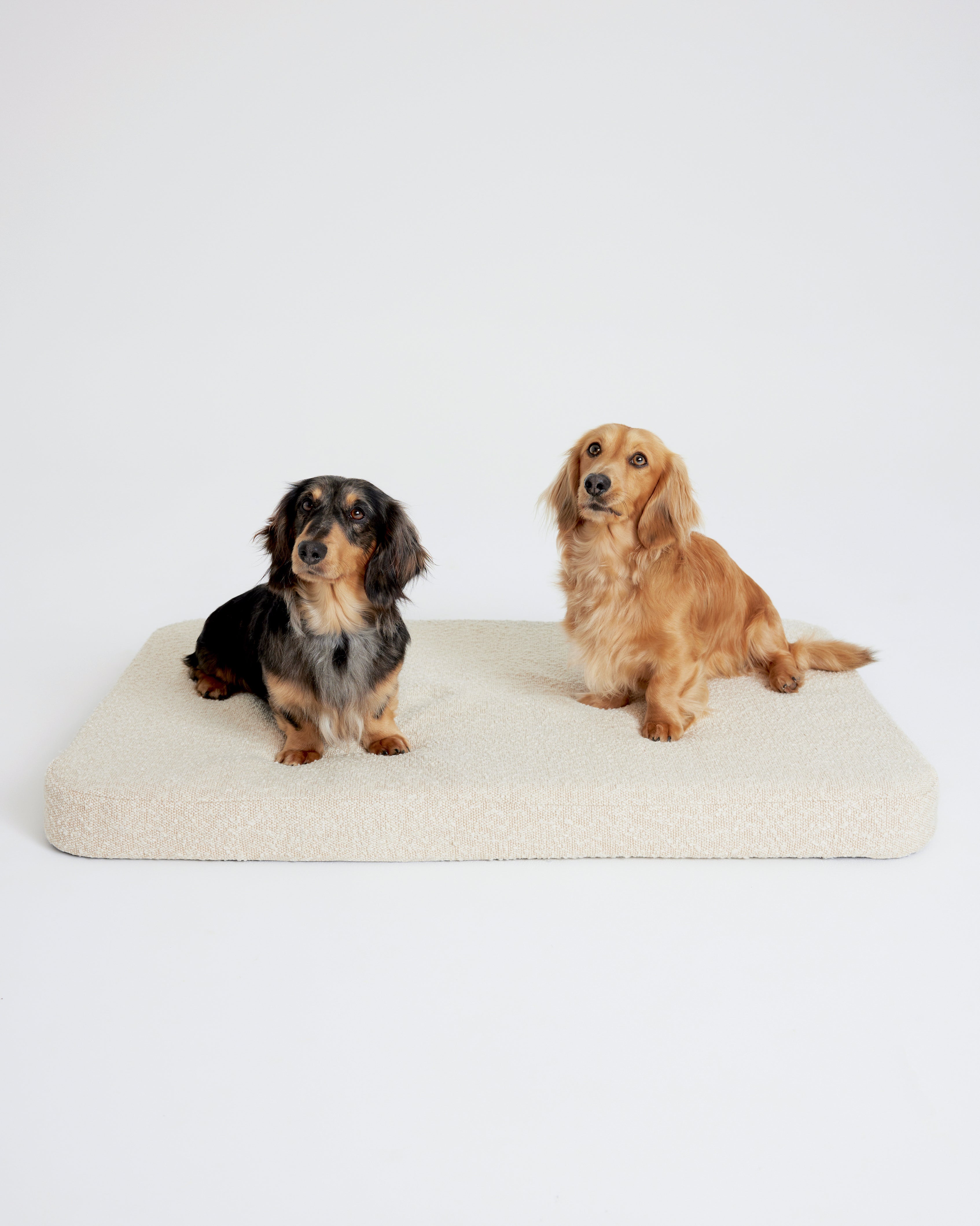 Flat Dog Bed - Buttercream Boucle