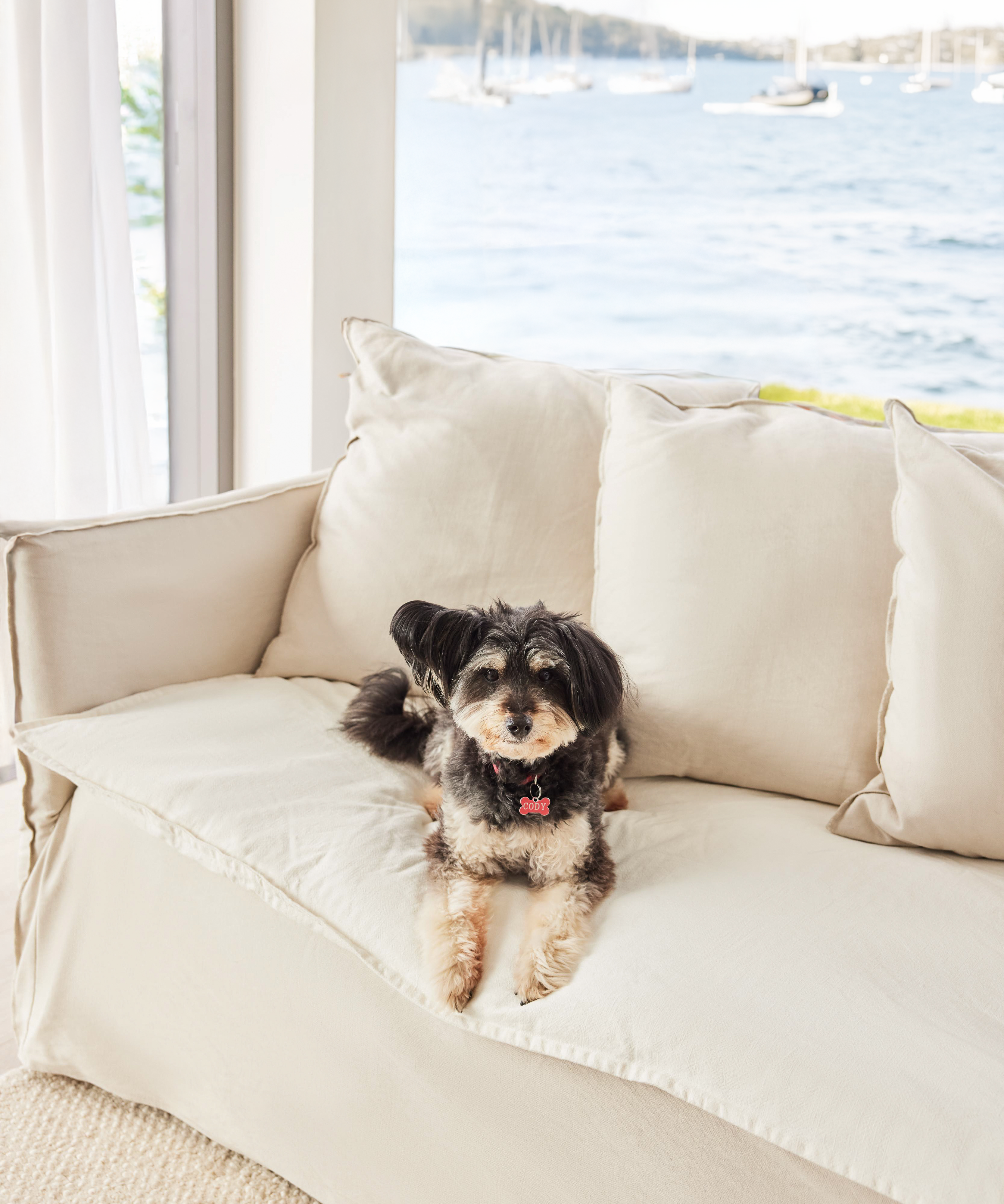 codyonsofatopper_76dcd029-2db9-4aa8-8b54-2b5fca52241f.png