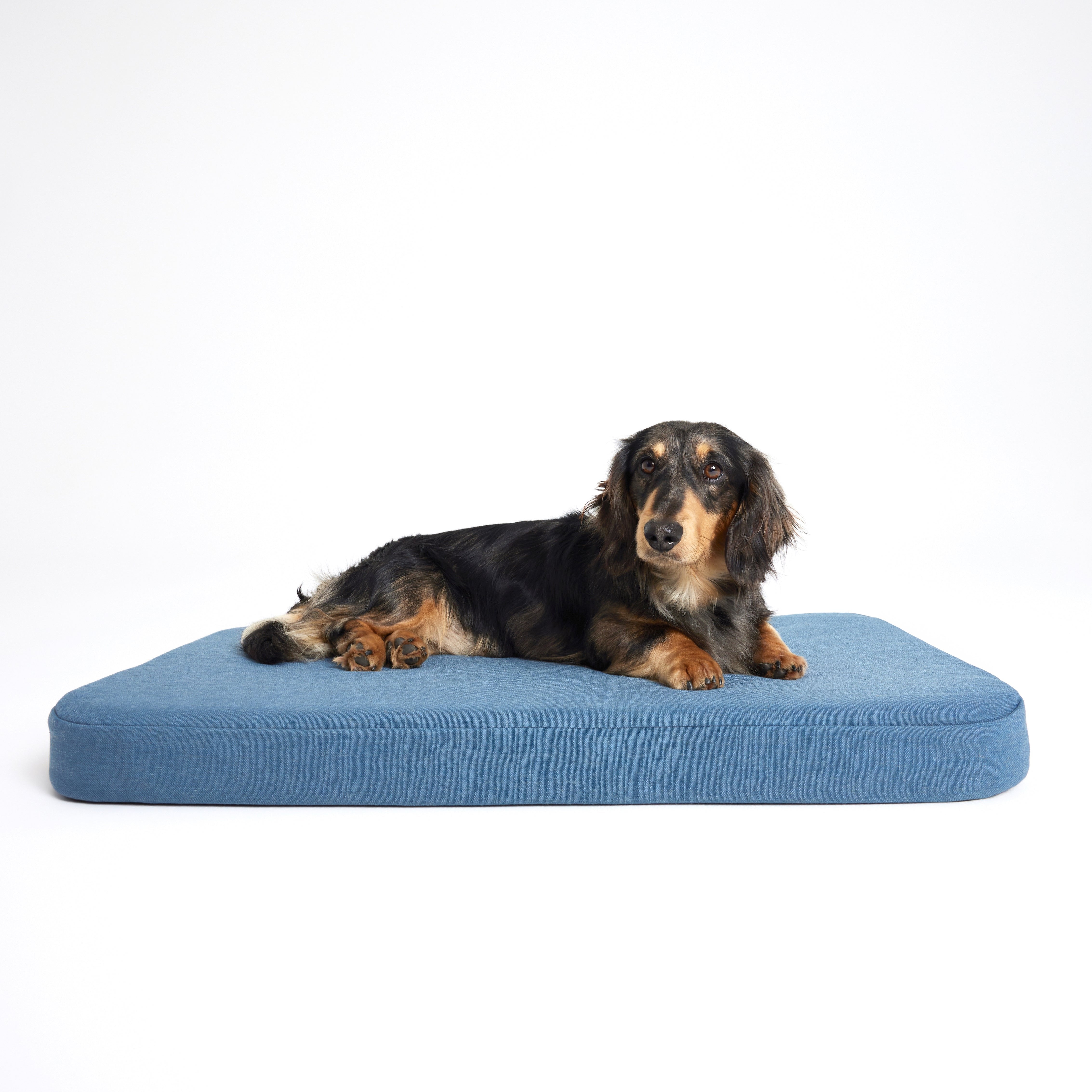 Plush Flat Dog Bed - Blue Linen | Luxury Flat Bed for Smaller Dogs ...