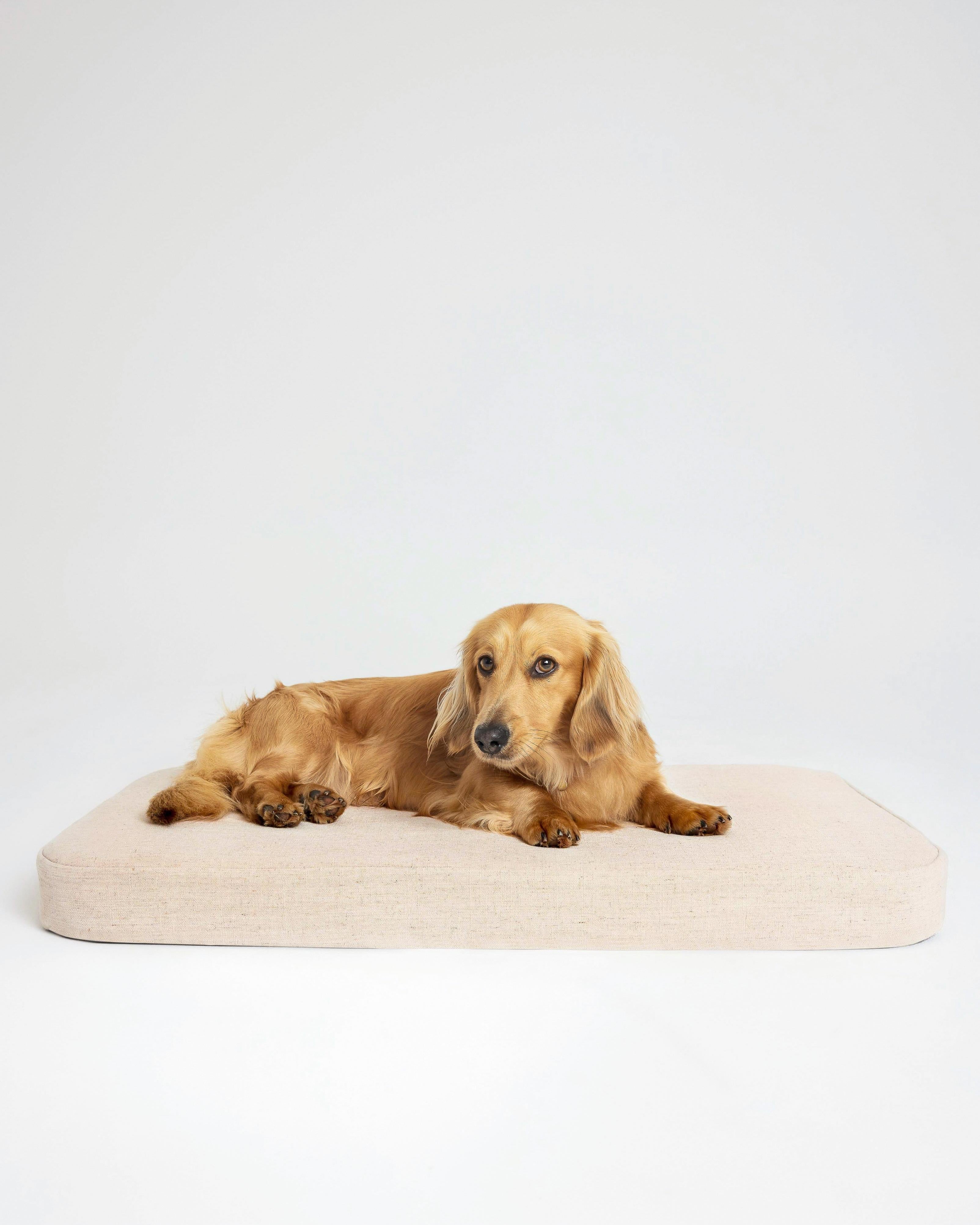 Flat Bed - Free with your Koozi Crate