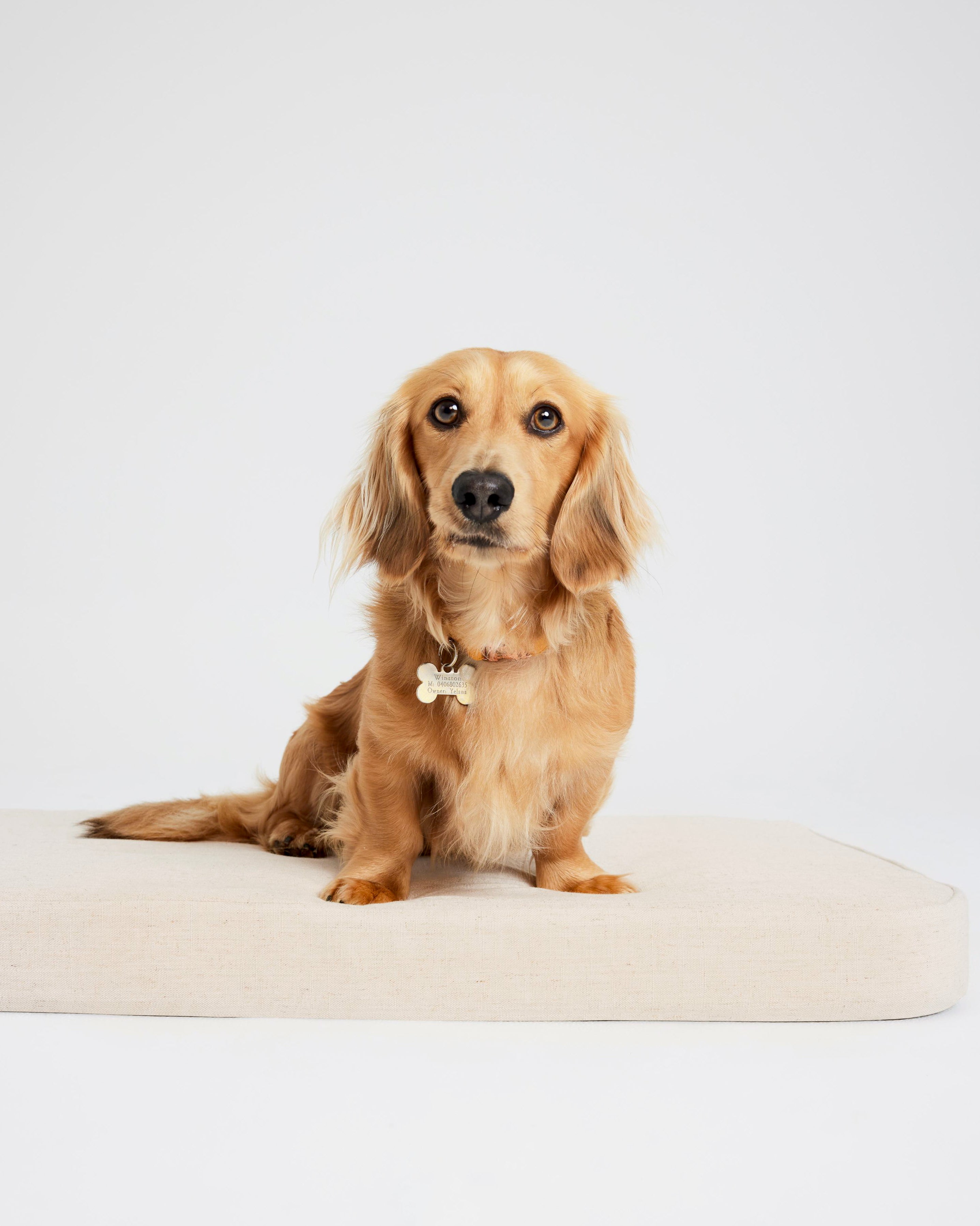 Flat Dog Bed - Oatmeal Linen