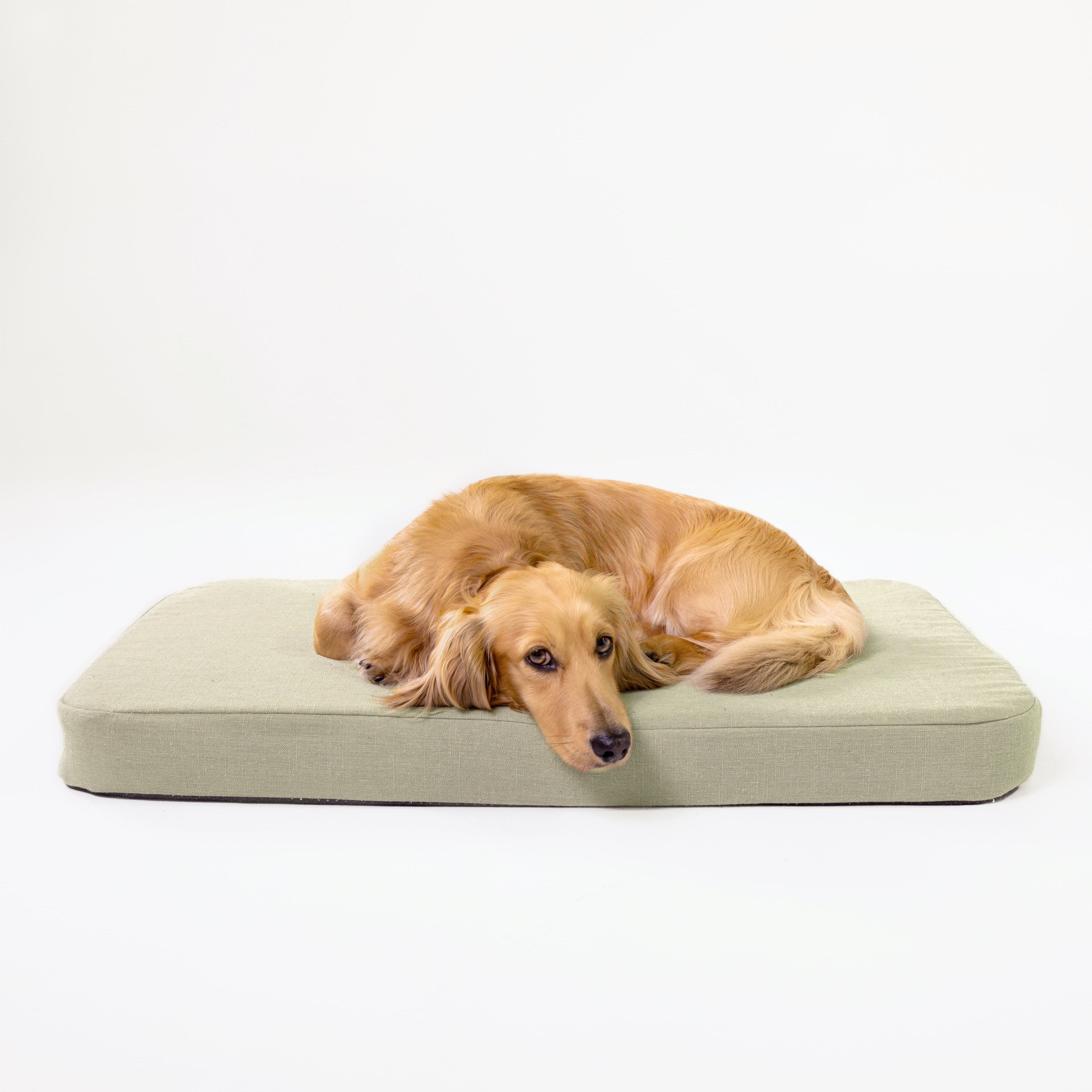 lightkhaki_flat_bed_8f4e4328-17a5-43fc-8f70-037b7652b4de.jpg
