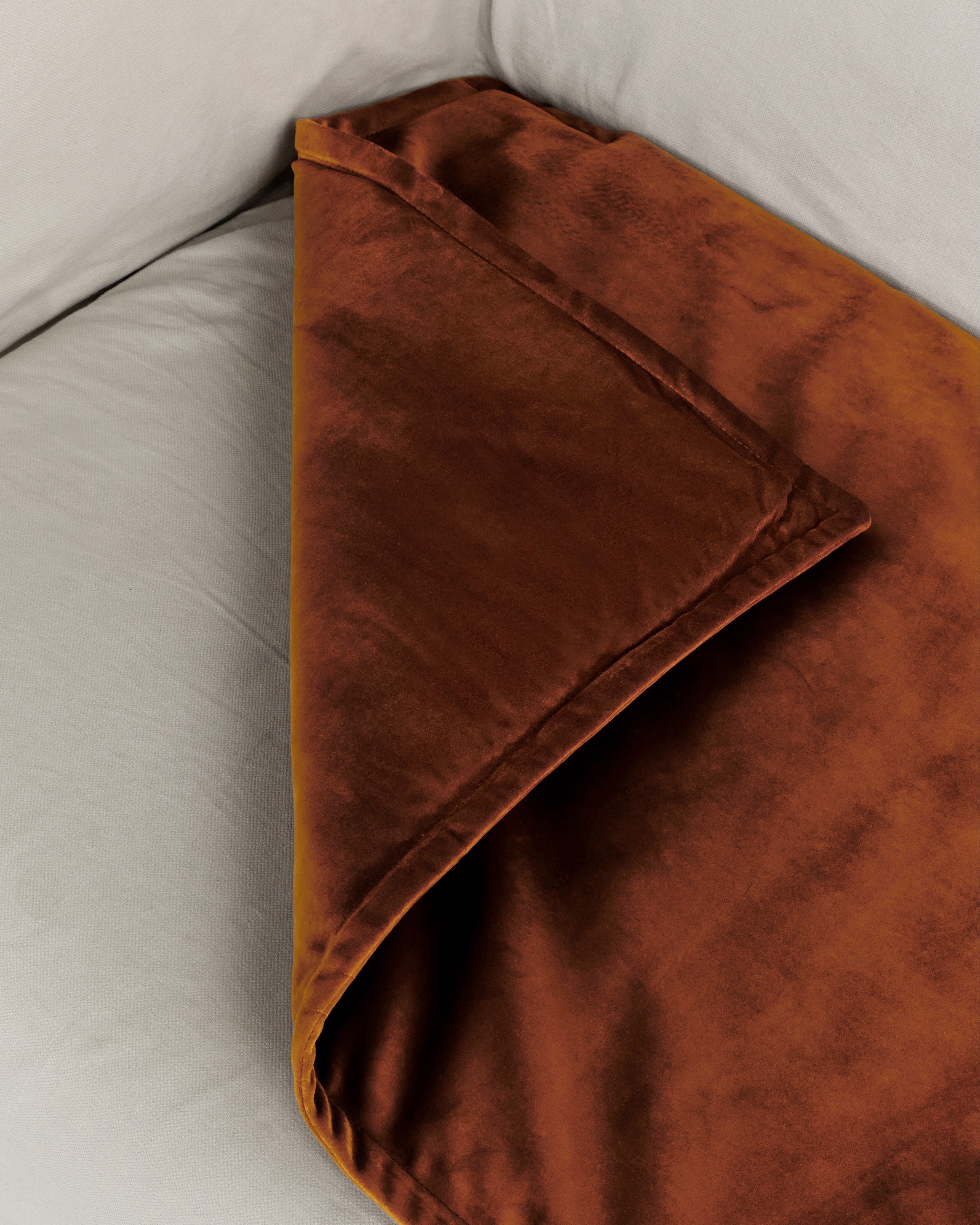 ochre_detail.jpg